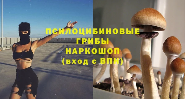 ешки Коряжма